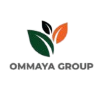  OMMAYA GROUP PT SUMBER BUMI RAYA